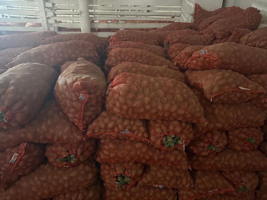 Продам картошку семенную кг 120тг сорт Крона