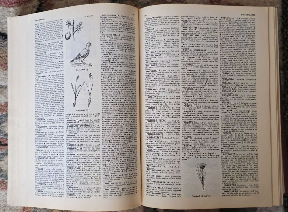 Mic dictionar enciclopedic, an - 1972, pagini – 1730