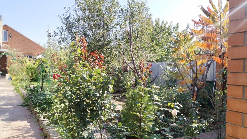 Продам два жилых дома