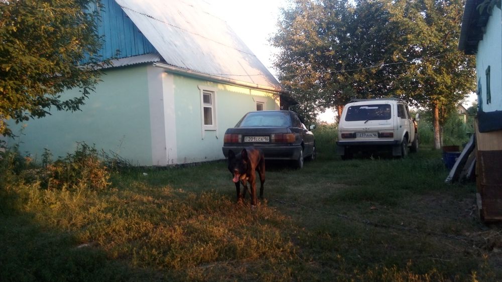 Продам дачу с/т Черёмушки. Дом зимнего варианта