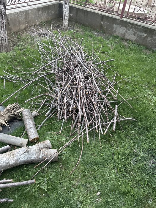 Дрова отын Северо-запад тегін бесплатно