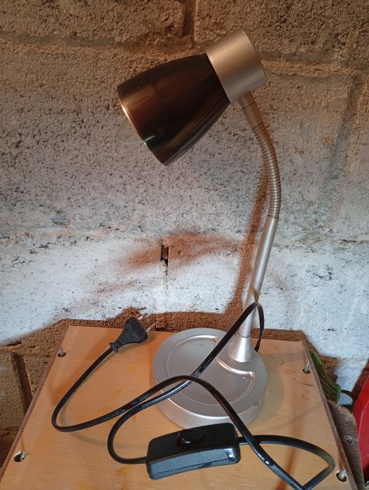 Лампа лампочки  Юг