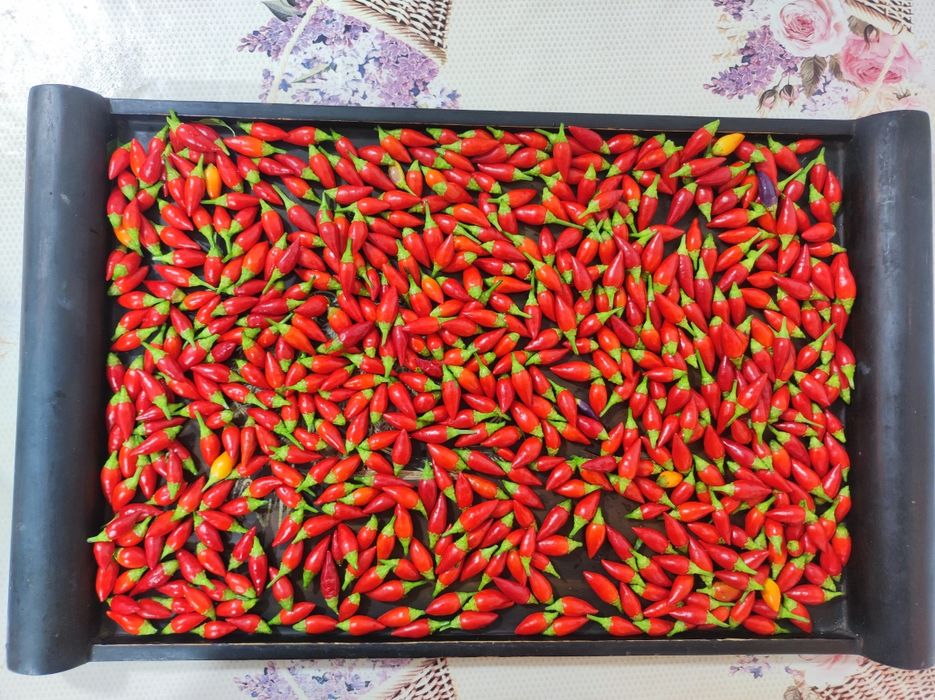 Кайенский перец самый острый
