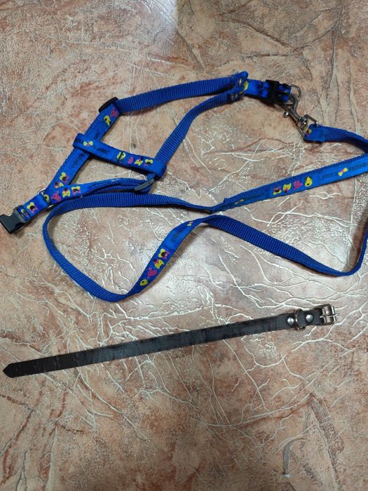 Для маленькой собачки