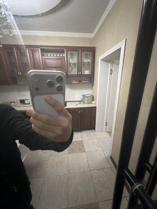 17pro e sim silver