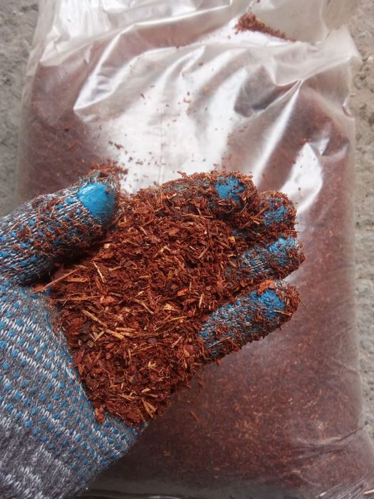 Кора лиственницы оптом