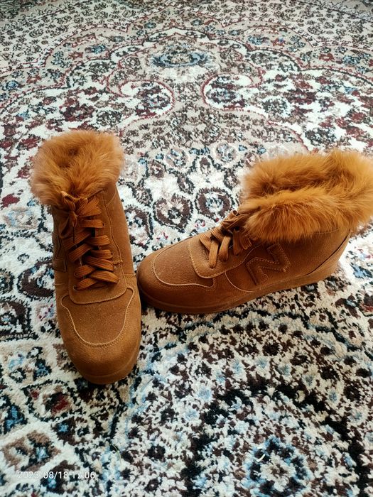 женская обувь сапоги