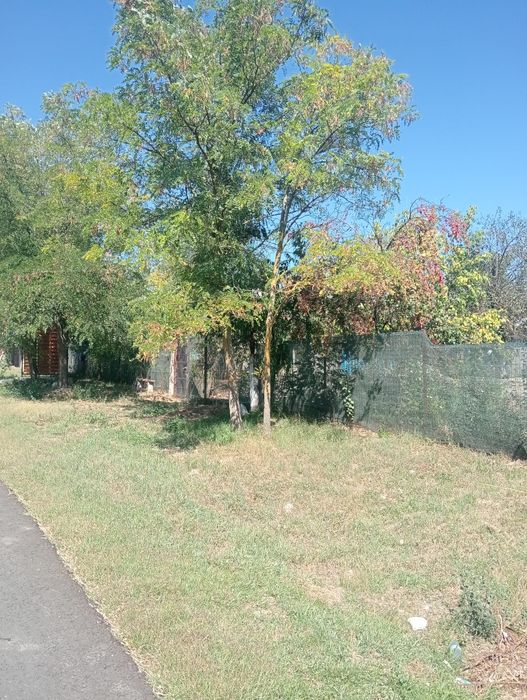 Casa bătrânesca cu teren