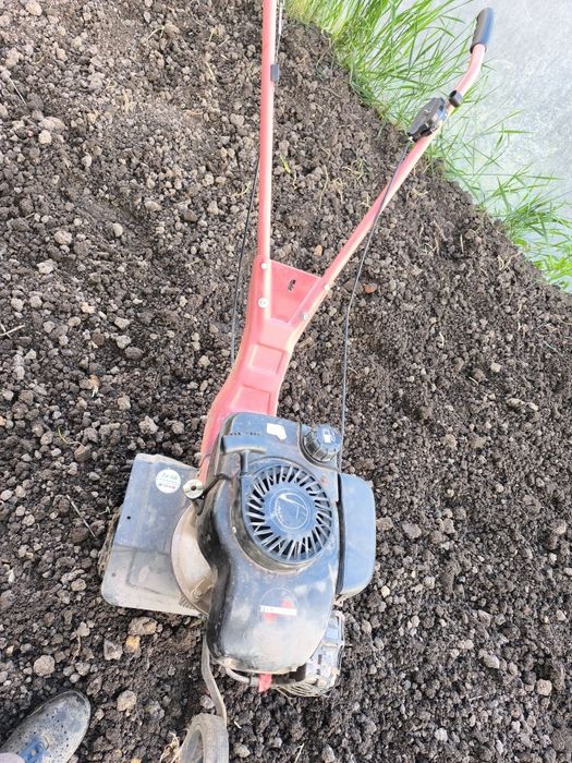 Motosapa Tempo nu Pascuali sau lombardini