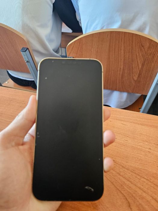 iphone 13 pro max 256gb