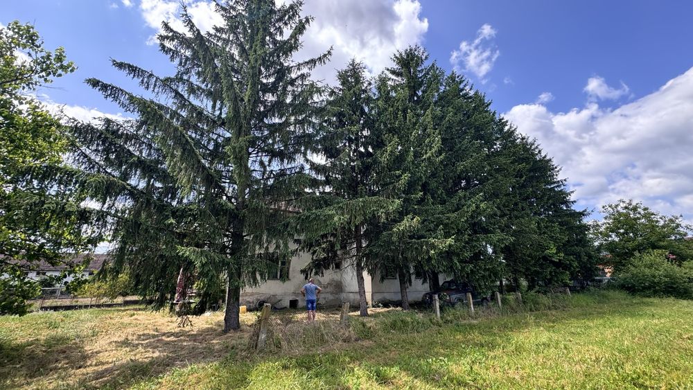 Teren de vanzare Cehal 64 Ha