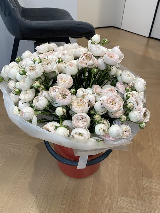 Кустовые розы, цветы