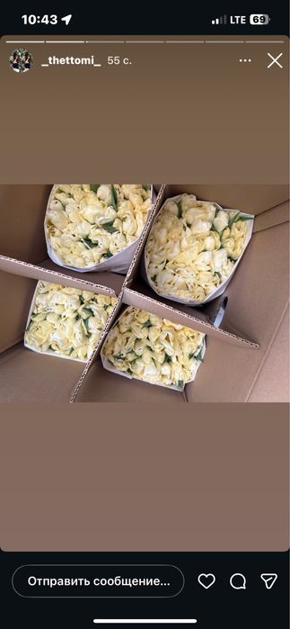 Тюльпаны к 8 марта