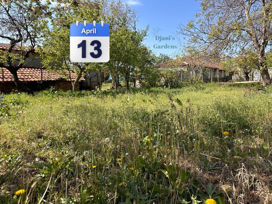 Косене на трева - висока и ниска/ озеленване/поддръжка