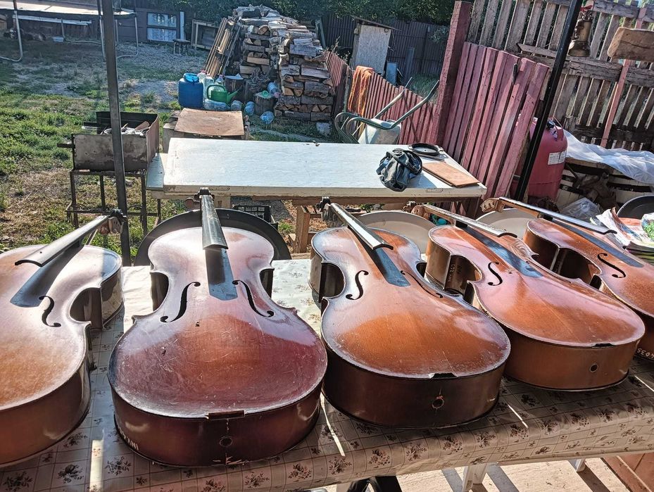 Viori și Violoncele ornamentale,