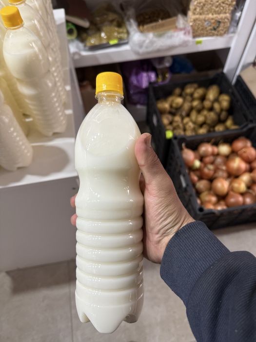 Қымыз домашний продукт