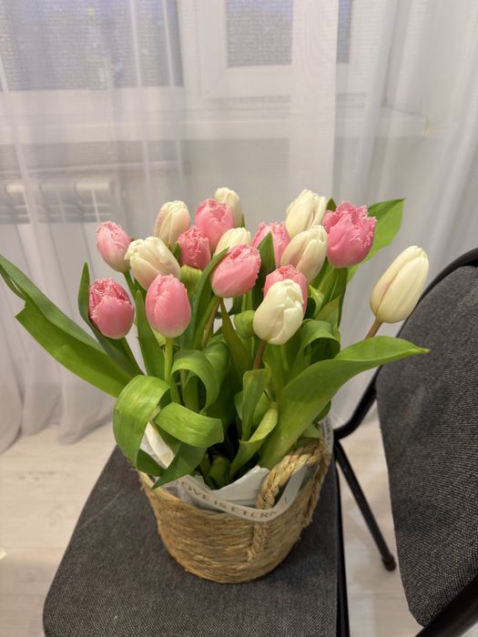 Местные Тюльпаны оптом и в розницу