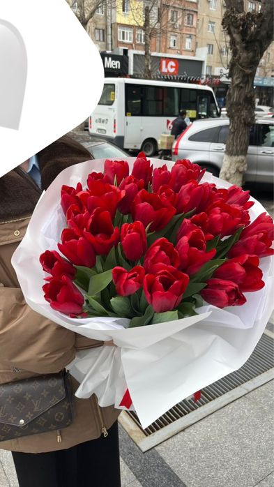 Гүл, қызыл тюльпан, 31 шт