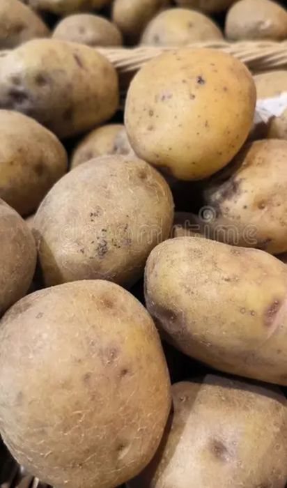 Продам картофель