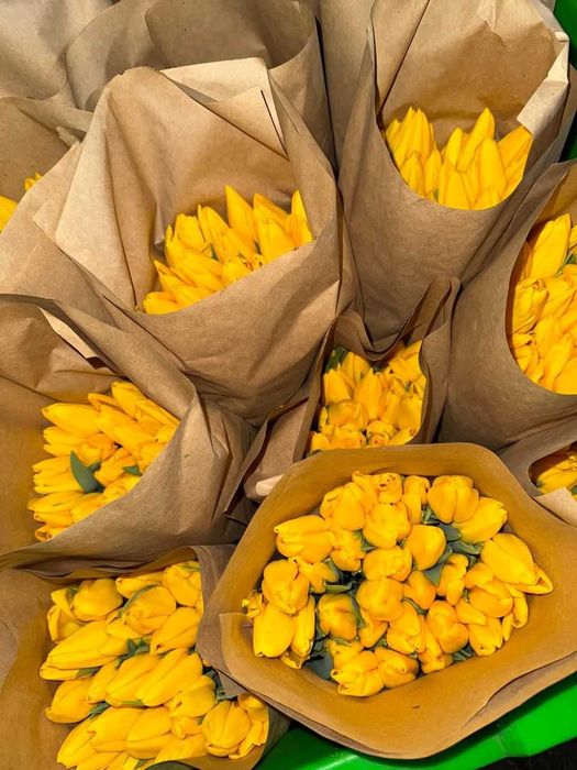 Тюльпаны №1 в Казахстане