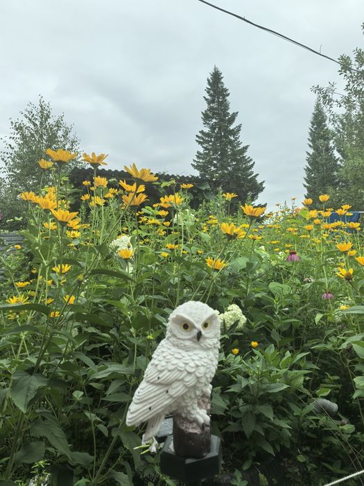 Продам Ухоженную Дачу Мечты