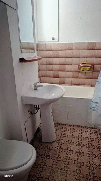 Teiul Doamnei, Parc Tei & Plumbuita, renovat, reabilitat, debara, 1%