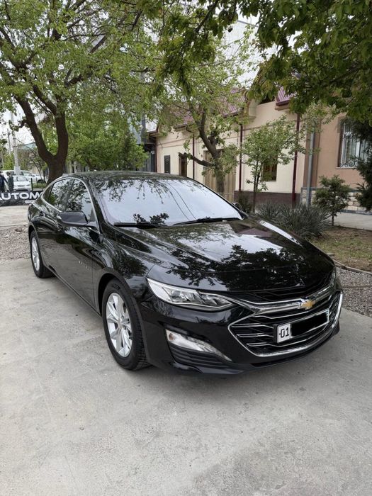 Malibu 2 permier qor rang