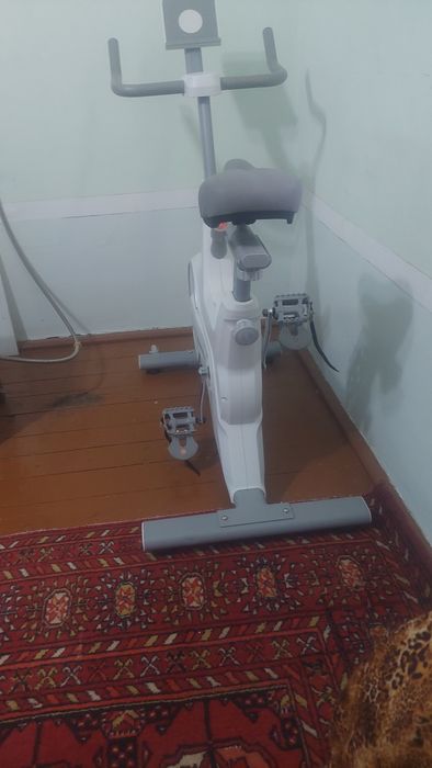 Velotrinajor  Aac sports