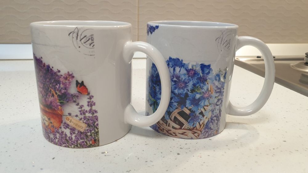 Set cani pentru Fina si Finul