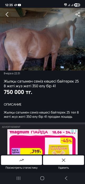 Жылқы сатамын семіз, продам лошадь