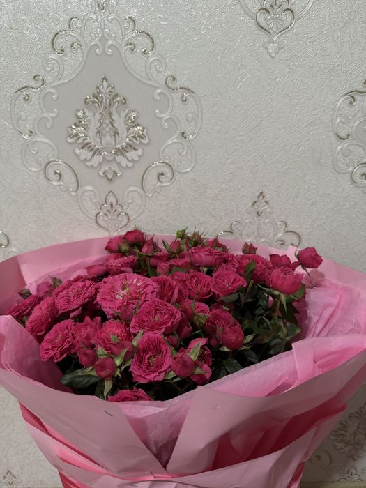 кустовые розы 06.02