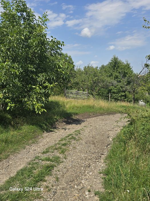 Teren Sat Filioara com Agapia