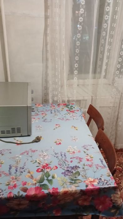 Сдам в аренду 2х ком кв