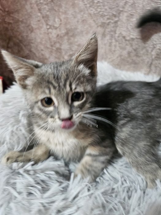 Девочка красавица