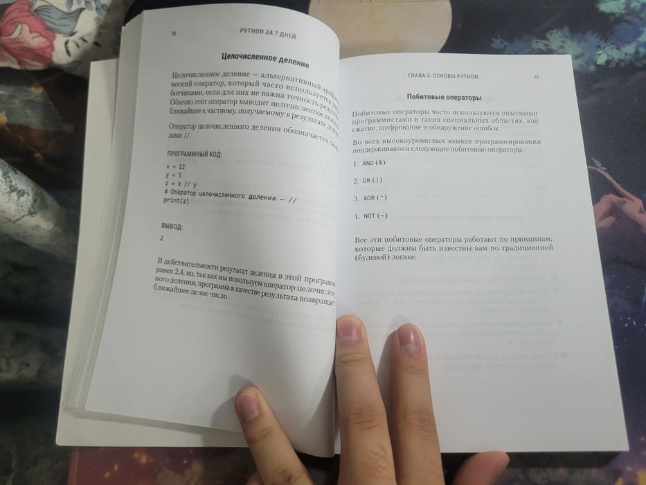 Книга для обучения Python Эндрю Парк