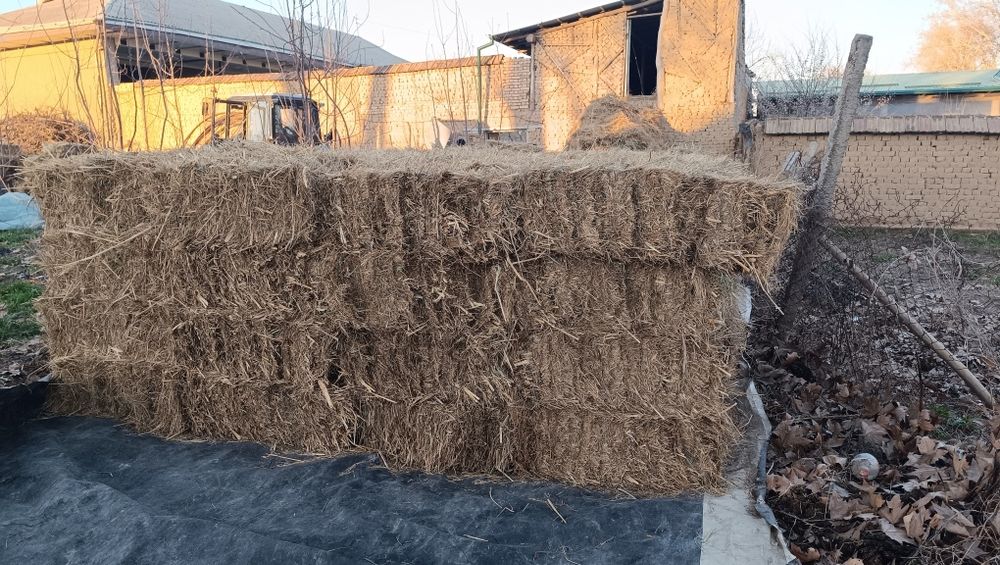 Pres sotiladi. O'tli mayin o'tdan qilingan