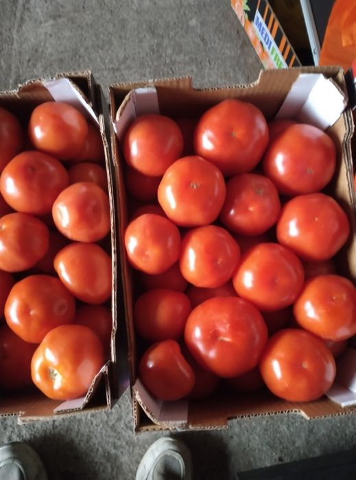 зеленчуци и плодове