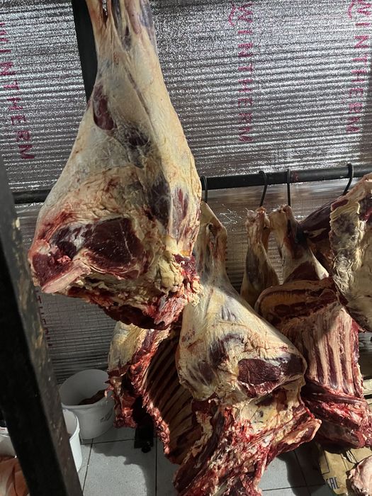 Продам мясо говядина