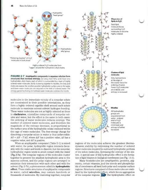 Tratate Biochimie Medicala Format electronic (PDF)-Nivel Avansat