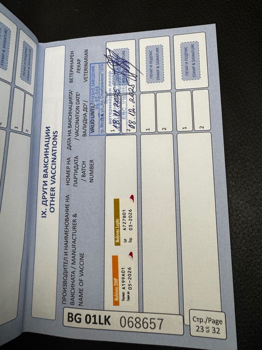 Ego Cane Corso Его Кане Корсо