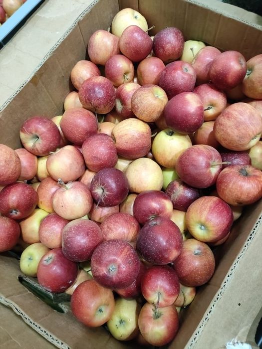 Яблоки вкусные сочные