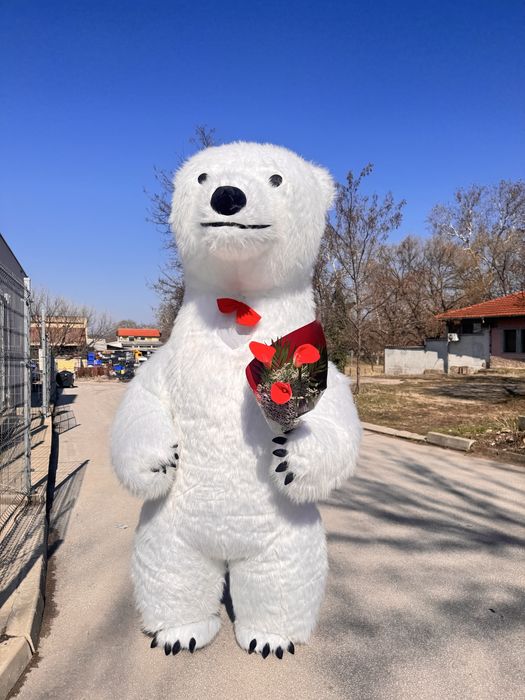 Бяло Мече Изненада