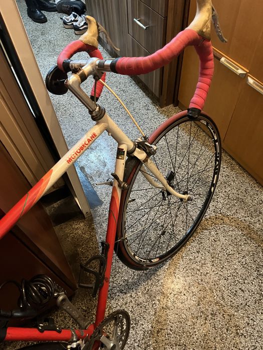 Френски бегач в добро състояние