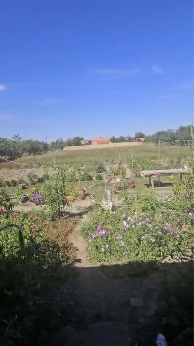 Vand casa in Ficatar Timis