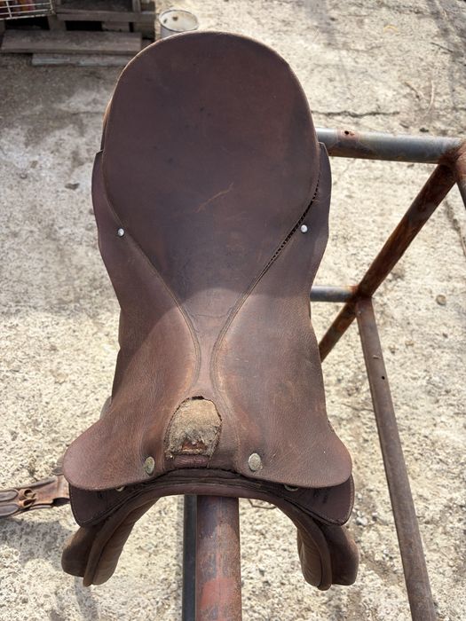 De vânzare, şei de echitație!