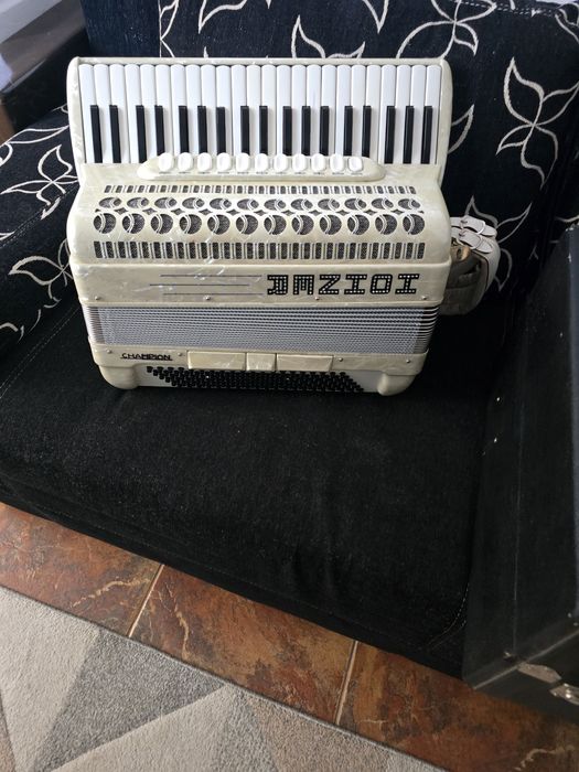 Acordeon Hohner champion 120 basii