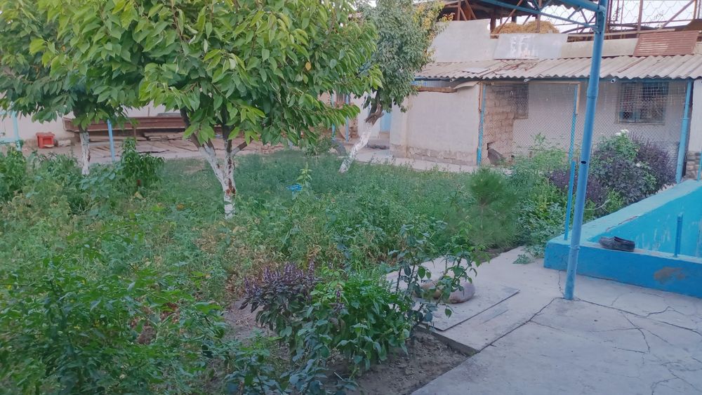 Дом продаётся! Азадбаш Толе би 130