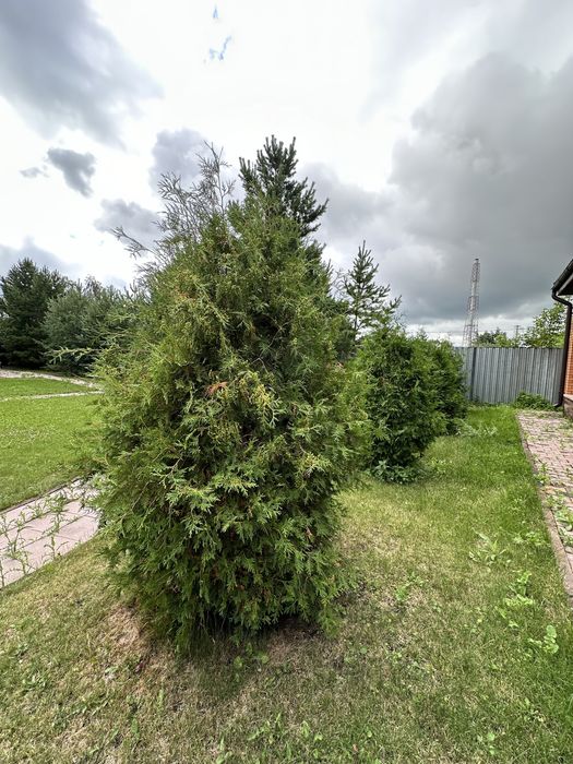 Шикарный коттедж в Боровом