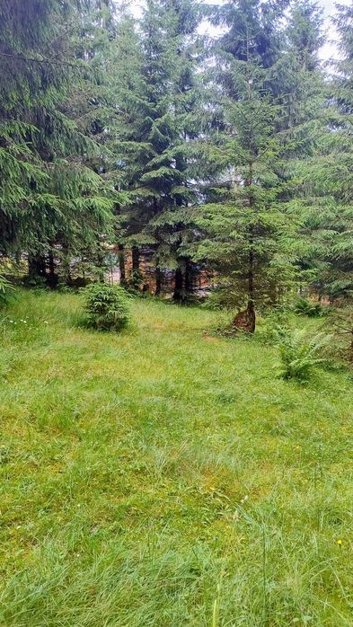 De vânzare  Teren intravilan 1.370 mp, Muntele Băișorii – zonă centrală, lângă pensiunea Skiland