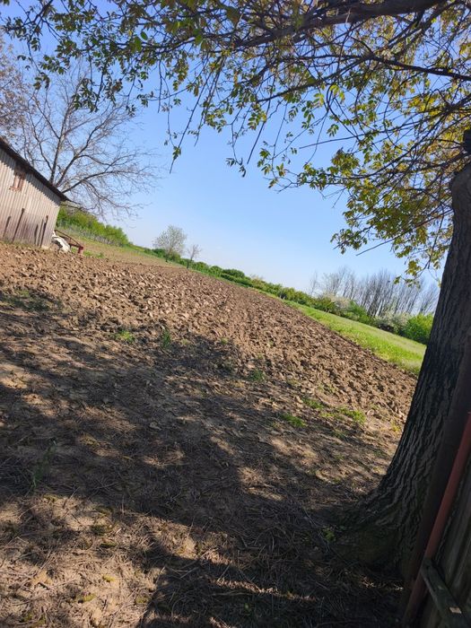 Casa bătrânească cu teren intravilan 2000 mp – Brezoaele, Dâmbovița – deschidere 18 m, utilități la poartă